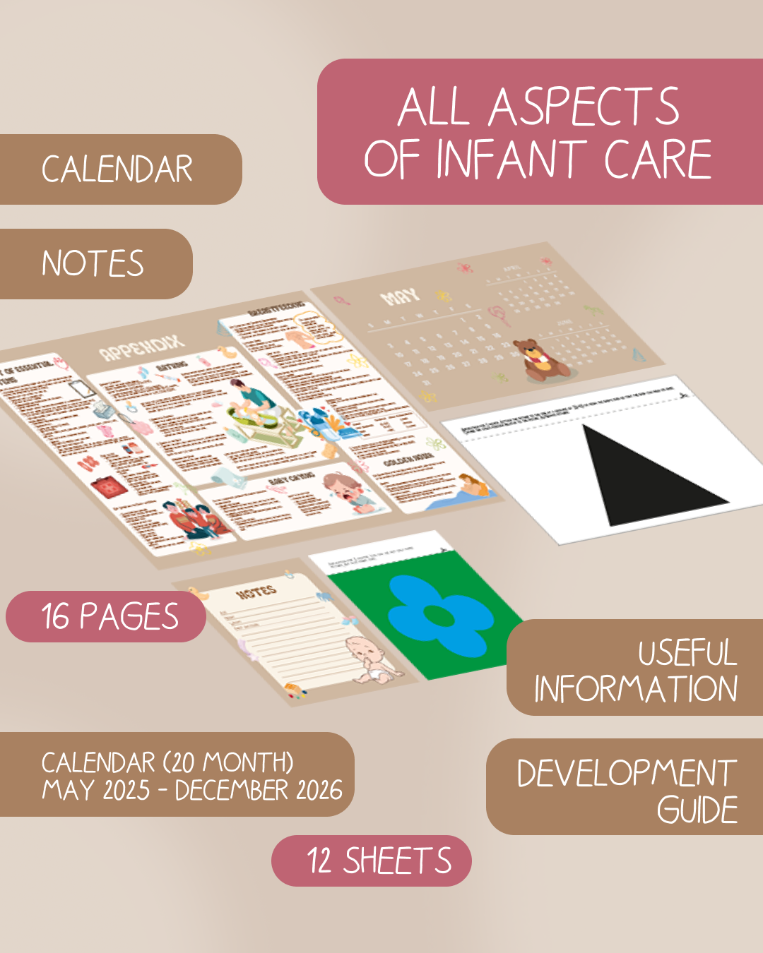 Baby’s Development  Calendar