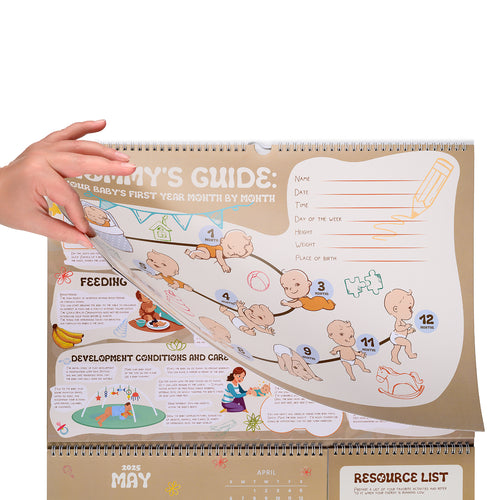 Baby’s Development  Calendar